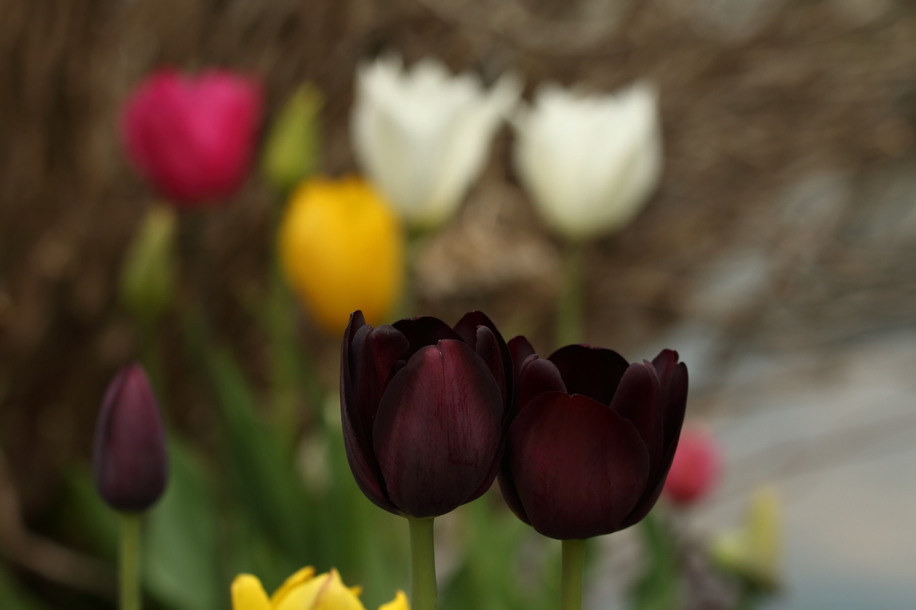 2014 05 02 HTP 47367